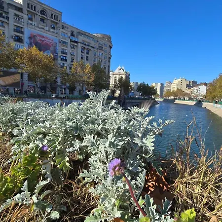 Unirii River View