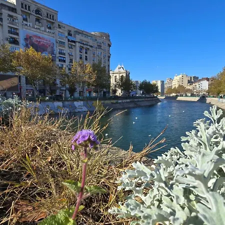 Apartment Unirii River View
